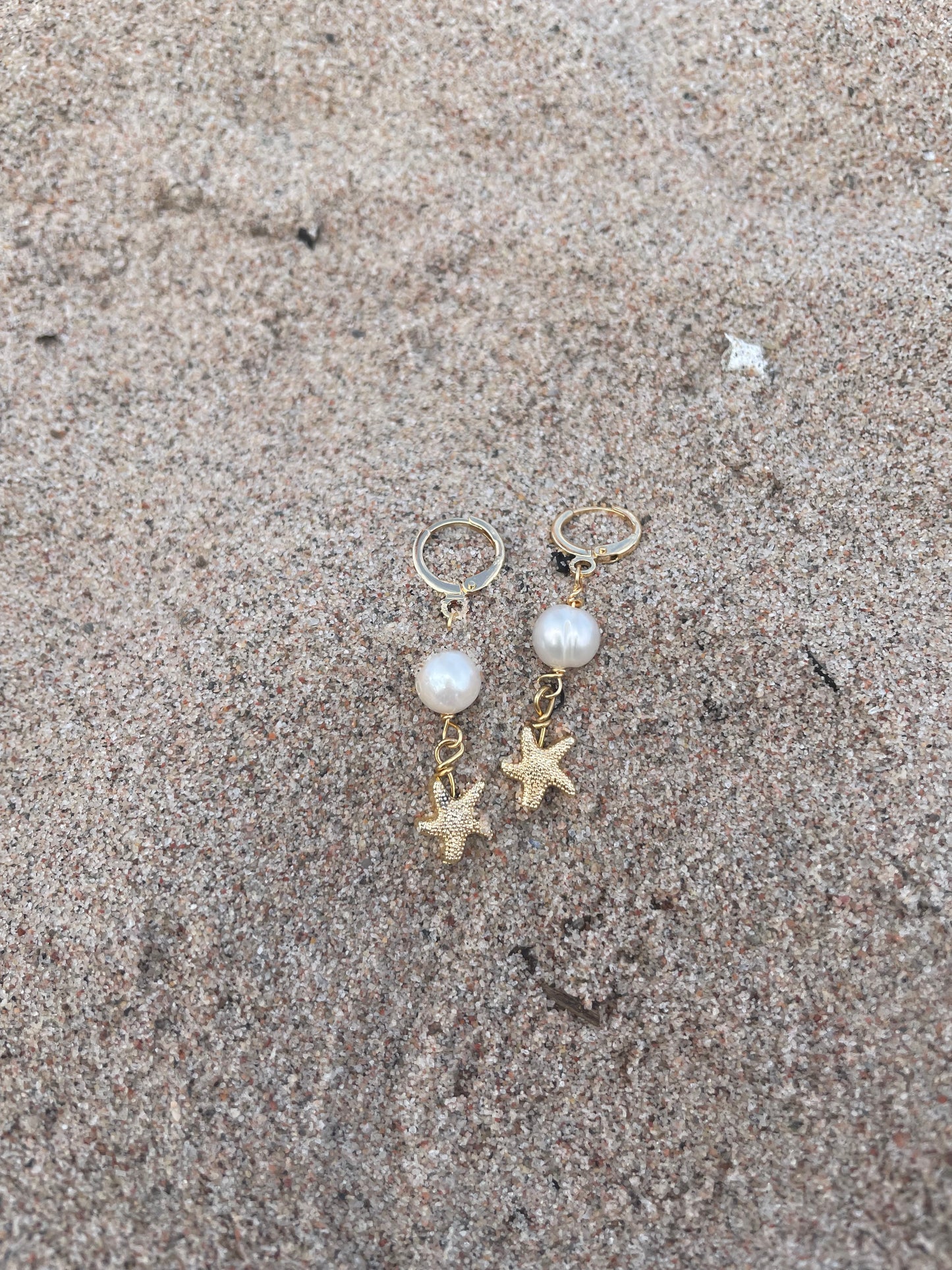 Starfish earrings