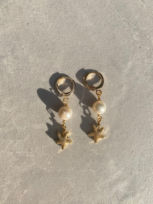 Starfish earrings
